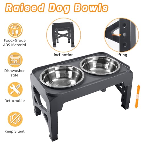 Elevated Dog Bowls with 2 Stainless Steel Dog Food & Water Raised Bowls with No Spill Edge Non (S (6" for Small Dogs) / Grey)