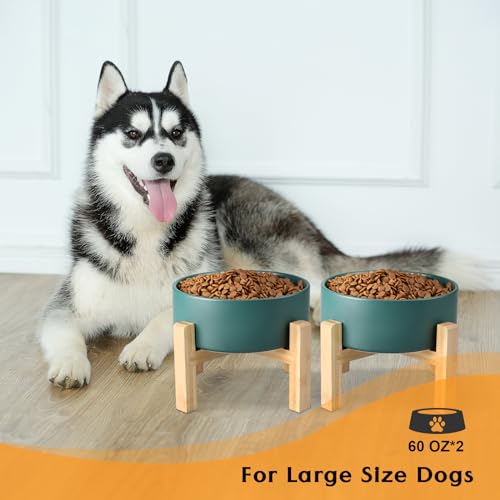 Ceramic Elevated Dog Bowls 2 Pack (Large - 7.6 CUPS*2 / Green)