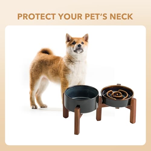 Raised Slow Feeder Dog Bowls (2 x Starry Sky + Stand - A / S- 6.1inch / 0.9 Cups)