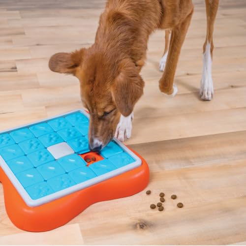 Nina Ottosson Challenge Slider Dog Toy Treat Puzzle (Challenge Slider (Orange, Blue) / 1 Count (Pack of 1))