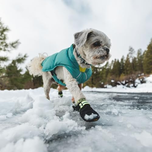 Summit Trex Dog Shoes (Obsidian Black / 1.75 in (2 Boots))