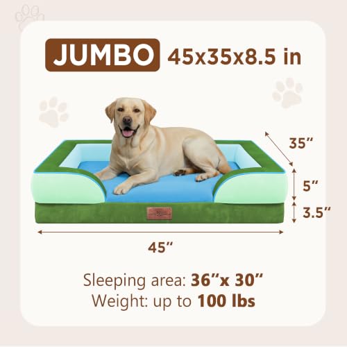 Orthopedic Dog Bed for Extra Large Dogs with Bolster (45.0"L x 35.0"W x 8.5"Th / Boston)