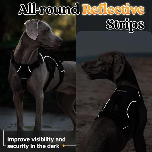 Escape Proof Dog Harness for X (Black / X-Large)
