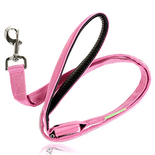 LED Light Up Dog Leash (6 Feet / Cotton Candy Pink)