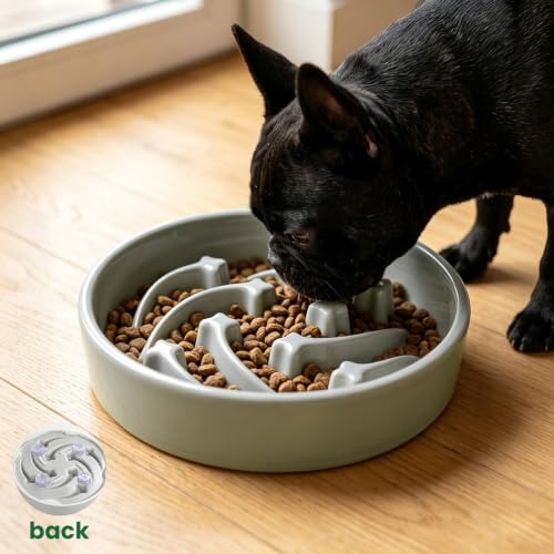 Slow Feeder Dog Bowls Anti (Grey)
