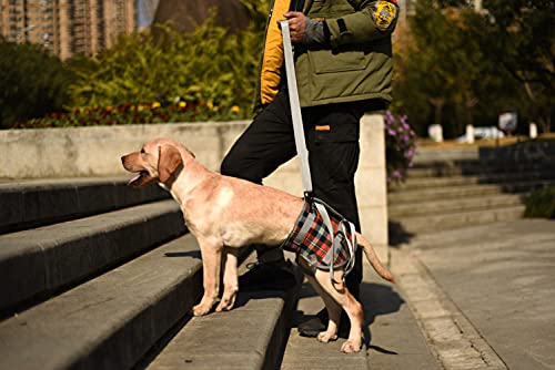 Dog Lift Harness (X-Large / Hind Legs-Orange)