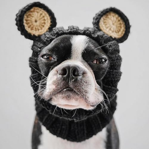 Black Bear Costume (Large / Black Bear)