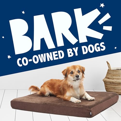 Orthopedic Dog Bed (Espresso / Medium)