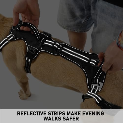 Mobility Dog Lift Harness (Black / XXL)