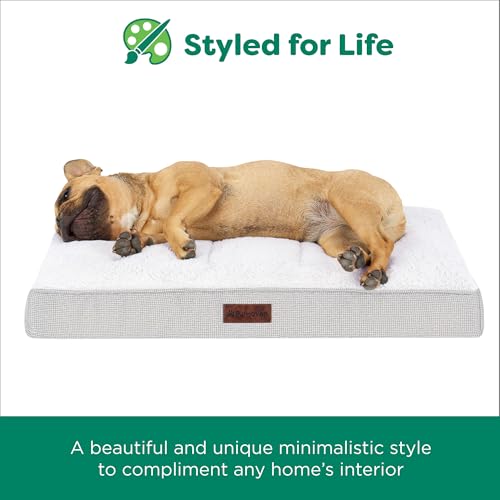 Orthopedic Dog Bed (Large / Light Gray)