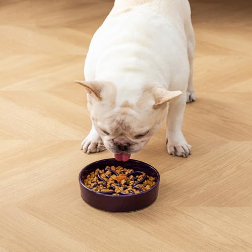 Ceramic Slow Feeder Dog Bowls (S-0.6 Cups / Purple)