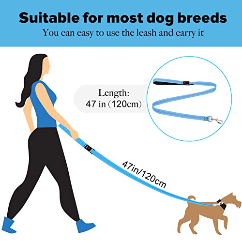LED Dog Leash (BlueⅡ)