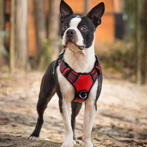 Dog Harness Small Sized (Red / Small)