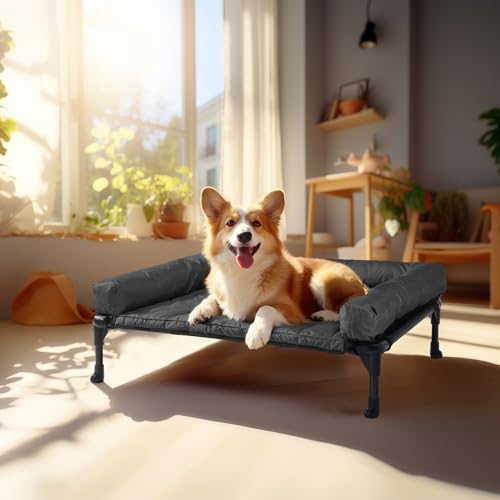 Outdoor Elevated Dog Bed with Waterproof Bolster Cushion (Black / 32.0"L x 25.0"W x 7.0"Th)