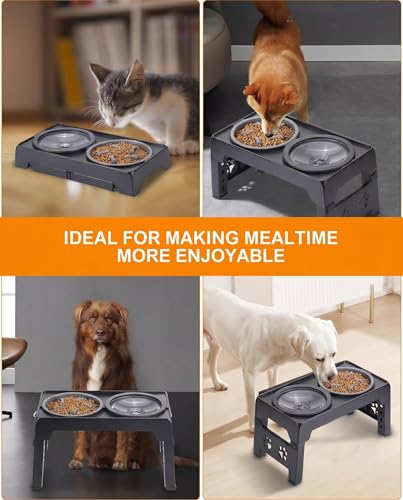 Collapsible Dog Bowls Raised Elevated Adjust Stand (Black)