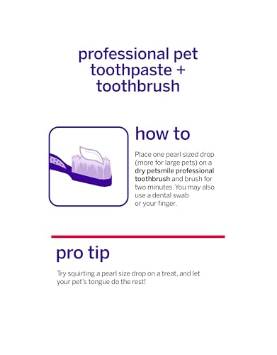 Teeth Brushing Kit (2.5 Ounce (Pack of 1))