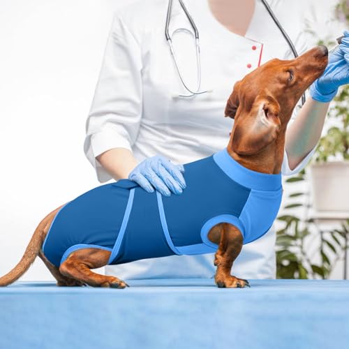 Dog Recovery Suit (Blue / Medium)