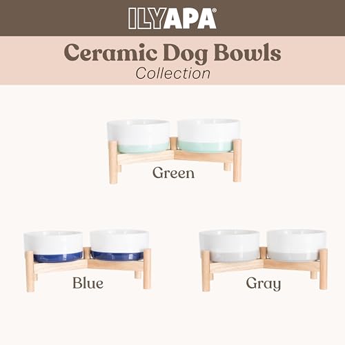 Elevated Ceramic Dog Bowls (Green)