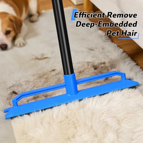 2 in 1 Carpet Rake for Pet Hair Removal Tool (Blue)