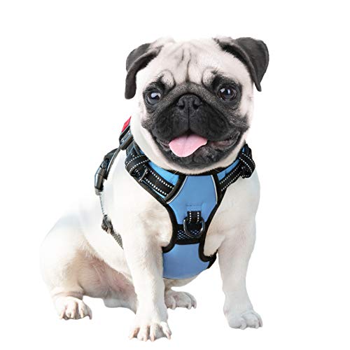 No Pull Dog Harness Reflective Adjustable Vest with Training Handle (Small / Baby Blue)