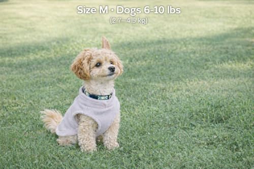 Dog Fleece Vest Sweater with Leash Ring (S (4-6lbs) / Grey)