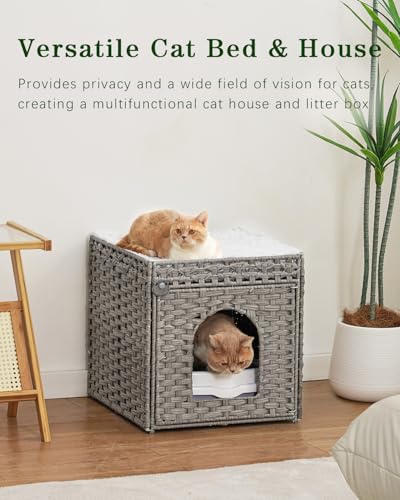 Cat Houses for Indoor Cats Extra Large Double Cat Cave (Gray / Rectangle-XL)