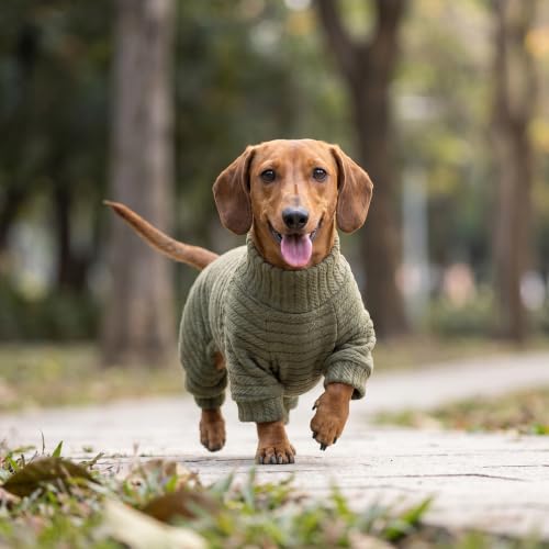Turtleneck Knitted Dog Sweater Puppy Pajamas Thermal Doggie Winter Clothes Knitwear Pet Coats Cat Apparel Green Small (Small / Sage Green)