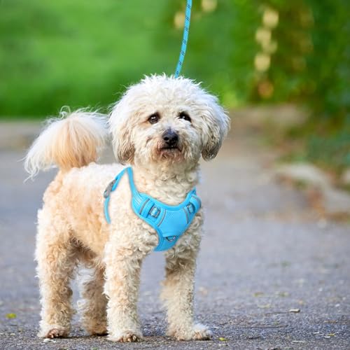Dog Harness for Small Sized Dog No Pull Dog Vest ID Tag Pocket (Blue / X-Small)
