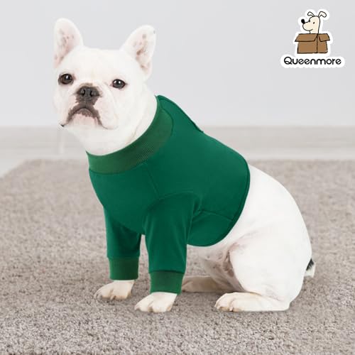 Dog Surgery Recovery Sleeve Front Legs (Medium / Green)
