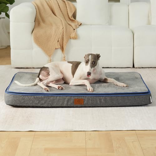 Memory Foam Large Dog Bed (35.0"L x 23.0"W x 4.0"Th / Dark Grey)