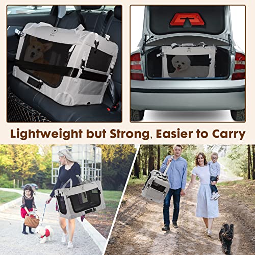 Extra Large Cat Carrier for 2 Cats
