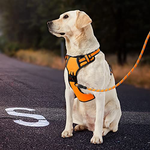 No Pull Dog Harness for Large Dogs (Orange / X-Large)