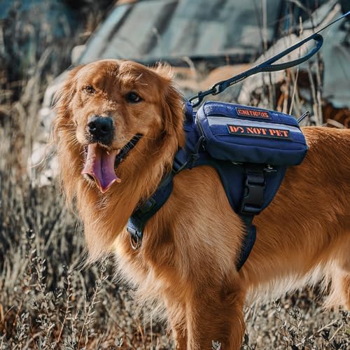 Tactical Dog Harness with Handle No (Small / Blue)