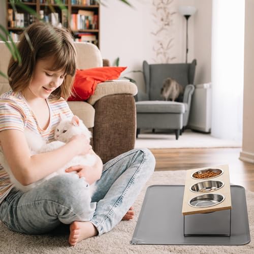 Upgraded Elevated Cat Bowls with Food Mat