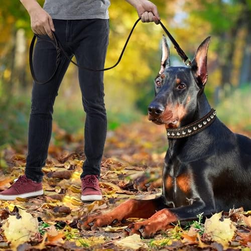 Leather Dog Leash (4 ft x 3/4 inch / Brown)