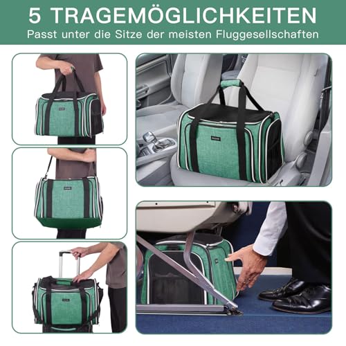Cat Carrier Bag (Green / 17.5"L x 12.0"W x 11.5"H)