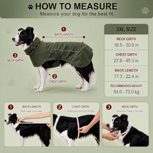 Dog Raincoat Full Body Coverage Waterproof Windproof Hooded Jacket (Green / 3X-Large)
