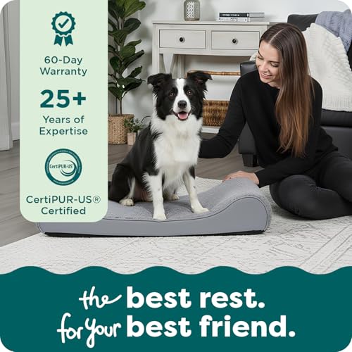 Orthopedic Dog Bed for Large Dogs (Large / Gray)