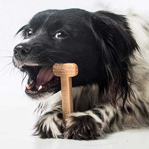 Nylon Dog Chew Toy for Aggressive Chewers (Small - 3 Pack)