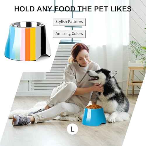 Dog Bowls Cone Friendly Non Slip Single Dog Bowl with Stainless Steel Inner (Large(3 Cups) / Blue)