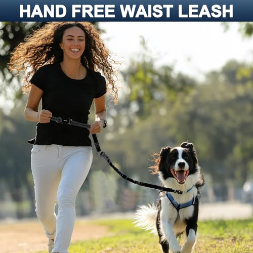 Heavy Duty Hands Free Dog Leash with Quick Release Carabiner and Adjustable No Pull Bungee Dog Running Waist Leash (Black)