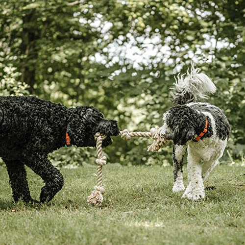 Dog Rope Toys for Large Dogs (5 Knots)