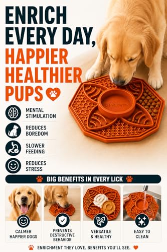 Dog Lick Mat & Slow Feeder Bowl