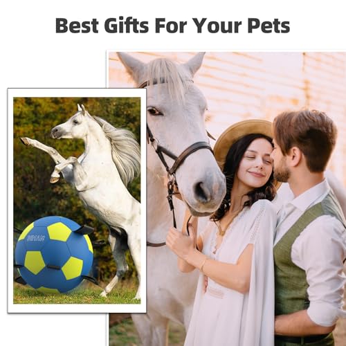 Herding Ball for Dogs with Straps (25 Inch / Blue Yellow)