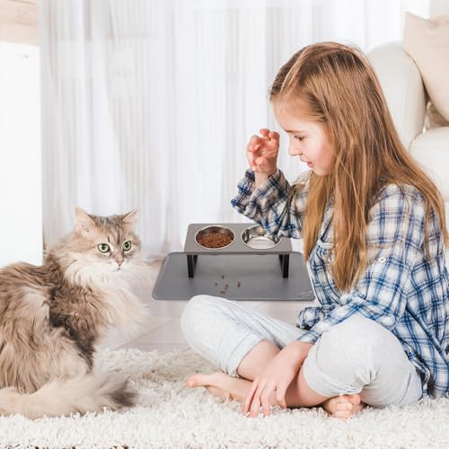 Upgraded Elevated Cat Bowls with Food Mat