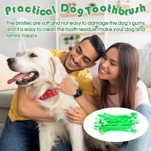 200 Count Dog Toothbrush Double Headed Long Handle Soft (Green)