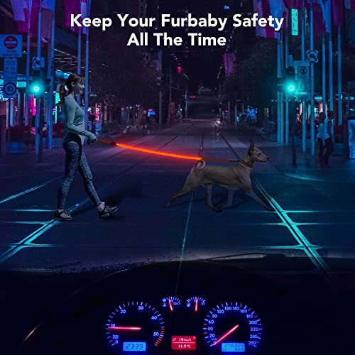 LED Light Up Dog Leash (Red / 4FT)
