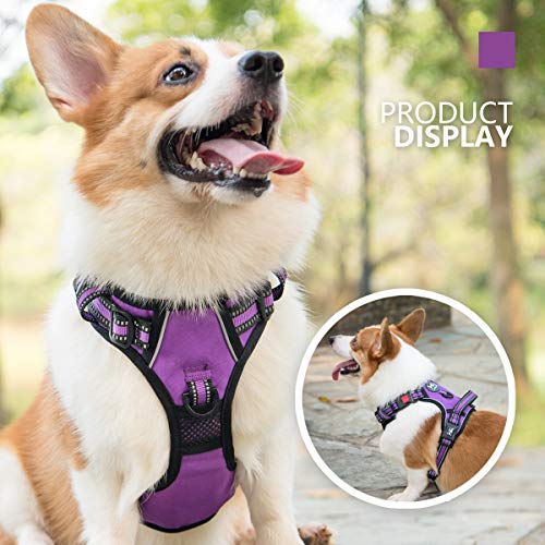 Dog Harness Large (XL / Purple)