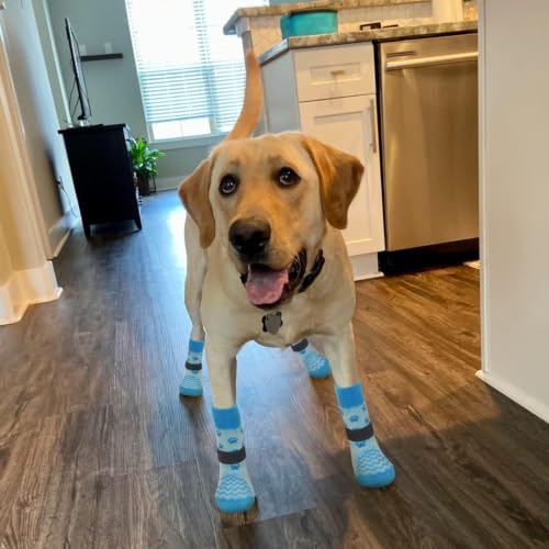 Anti Slip Dog Socks to Prevent Licking Paws for Hot Pavement (Blue / Medium)