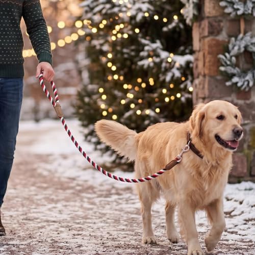 Rainbow Dog Leash Braided Cotton Rope w Leather (Red/Green / 48 Inch-1/2")